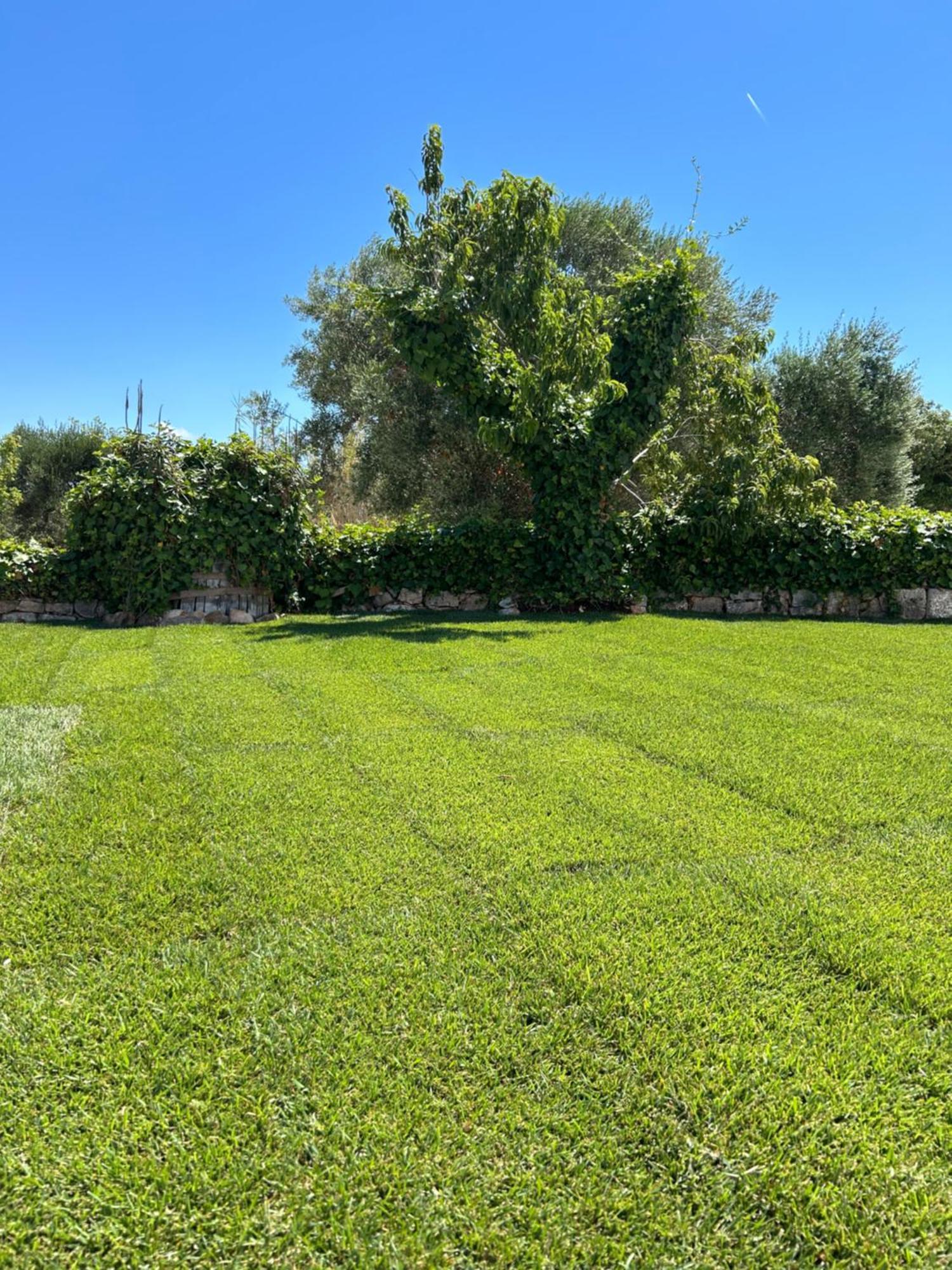 Trulli In Contrada - Monopoli Vendégház Kültér fotó