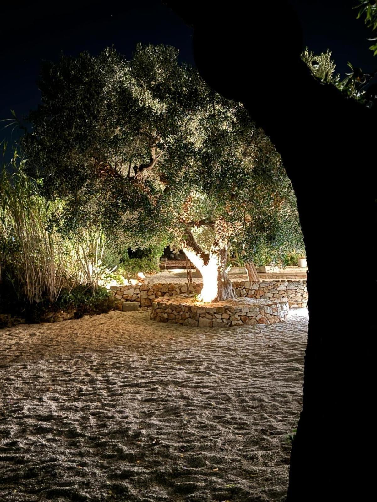 Trulli In Contrada - Monopoli Vendégház Kültér fotó